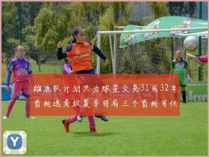雄鹿队计划只为球星交易31或32年首轮选秀权夏季将有三个首轮可供交易