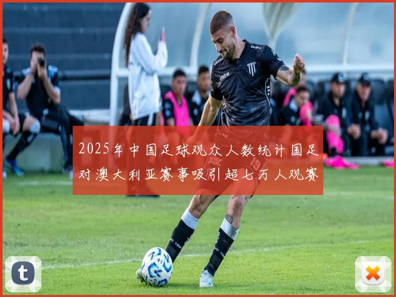 2025年中国足球观众人数统计国足对澳大利亚赛事吸引超七万人观赛