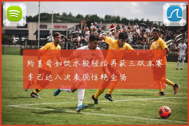 约基奇如饮水般轻松再获三双本赛季已达八次表现惊艳全场