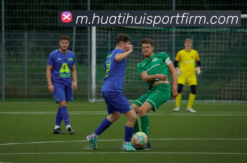 多媒体互动体验